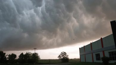 Severe weather: 9 dead in Texas, Oklahoma and Arkansas as powerful storms hit Central US