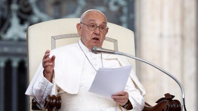 Pope Francis shocks bishops by using offensive slur amid discussion about gay men: Report