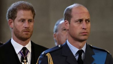 ‘Wounded’ Prince William bracing from a second Prince Harry memoir, claims royal author