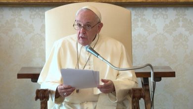 Pope apologises after quoted using vulgar term in talk about ban on gay priests