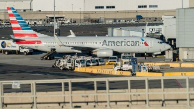 Black passengers sue American Airlines over alleged ‘egregious race discrimination’