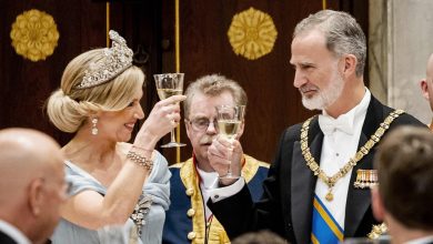 King Felipe left ‘destroyed’ after Queen Letizia ‘cheated’ on him, new tell-all book claims