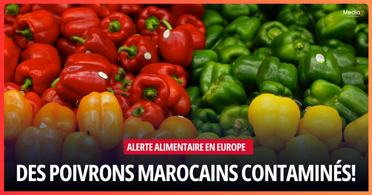 Food Alert in Europe: Moroccan Peppers Contaminated by a Banned Pesticide
