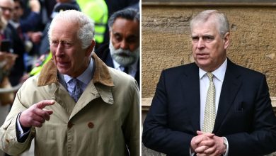King Charles could ‘sever ties’ with Prince Andrew even though they ‘bonded through grief’