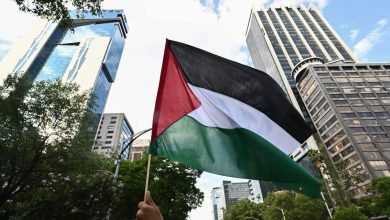UN experts urge all countries to recognise Palestinian statehood