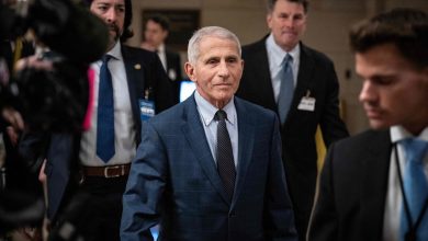 Top scientist Fauci’s Covid-19 bombshells: from 'lab leak theory' to 'US needs to prepare for next…’
