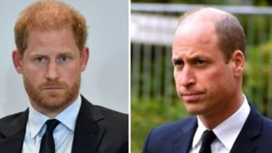 Prince Harry ‘agreed to stay away’ from friend's wedding as part of ‘civilised understanding’ with Prince William