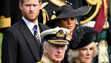 King Charles again ditches son Prince Harry and Meghan Markle ahead of big Royal event
