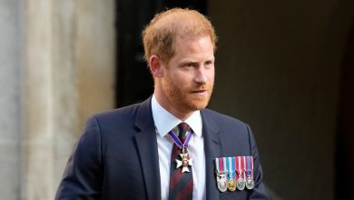 Prince Harry’s visa ‘very uncommon,’ here are 3 key areas covered in security check