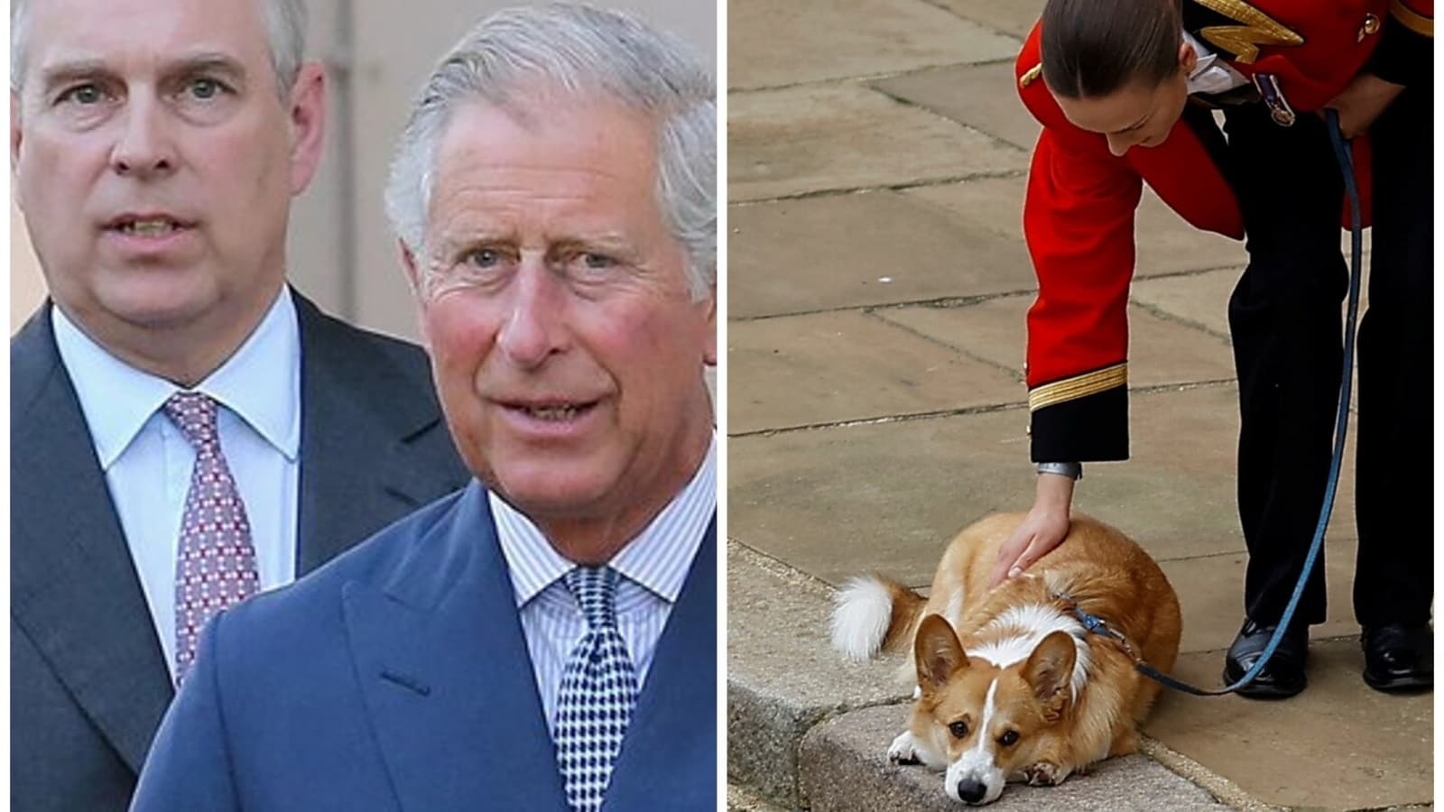 King Charles wants to throw out Queen Elizabeth's corgis and her favourite son Prince Andrew from Royal Lodge for…