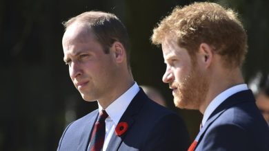 Prince Harry and William's relationship hits ‘all-time low’; they are not even…