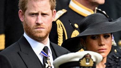Prince Harry 'determined to find permanent UK home' as honeymoon period comes to…