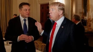 Elon Musk's shout out to Donald Trump in Tesla meeting: ‘He calls me for no reason’