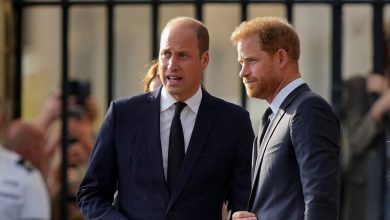 Prince Harry reveals he ‘wanted to go home’, but Prince Williams' three-word response left him stunned
