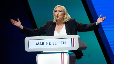 Thousands take to streets in France to oppose Le Pen’s Far Right ahead of snap polls