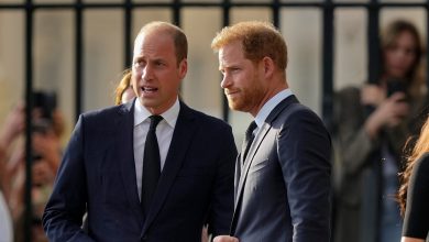 Prince William's Father's Day post hints feud with Prince Harry shows no sign of healing, royal expert says
