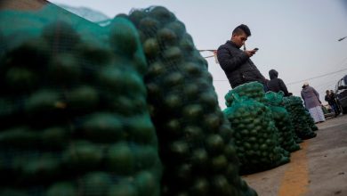US halts avocado inspections in Mexico after two USDA employees assaulted