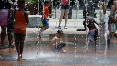 Juneteenth: Scorching US temperatures, humidity unleash merciless, blazing fury; blistering conditions plague millions