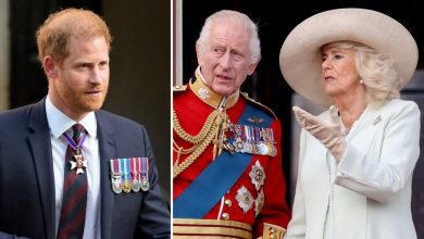 Prince Harry ‘on his own’ as King Charles thinks ‘criticism of Camilla’ is ‘unforgivable,’ expert says
