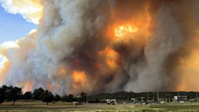New Mexico wildfires kill 2, destroy 1,400 buildings
