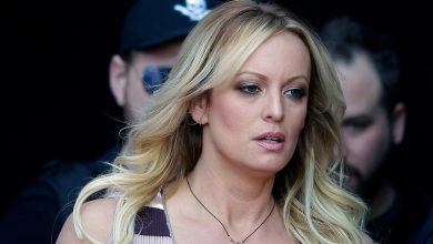 Stormy Daniels gives bizarre reason for entering adult entertainment industry: ‘I made more money in two…’