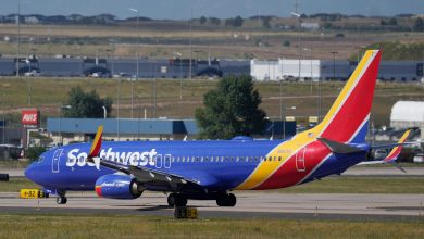 Southwest Boeing 737 dives below 500ft over Oklahoma neighbourhood, triggers ‘low-altitude alert’