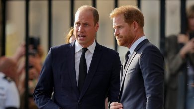 Big blow for Prince Harry as his ‘favourite cousin’ appears ‘closer than ever’ to Prince William