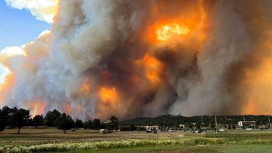 New Mexico wildfires: FBI offers reward for information about those responsible