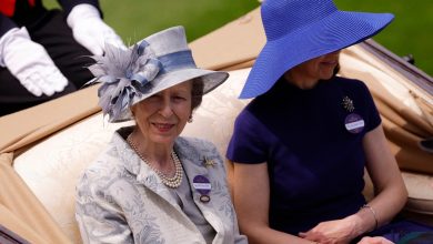 Britain's Princess Anne hospitalised with minor injuries after an 'incident'
