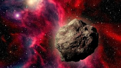 ‘Planet Killer’ asteroid to fly close by Earth, How to watch it live?