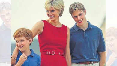 Prince Harry loses Spencer family inheritance, Princess Diana's property goes to surprising heir