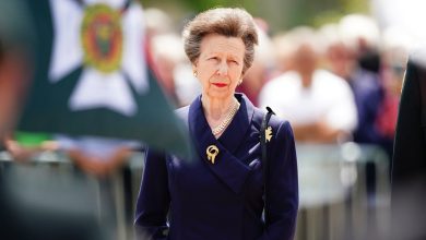 Princess Anne back home from hospital after head injuries, won't return to royal duties for ‘foreseeable future’