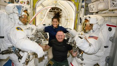 Sunita Williams could be in space for months; NASA reiterates astronauts are ‘not stranded’