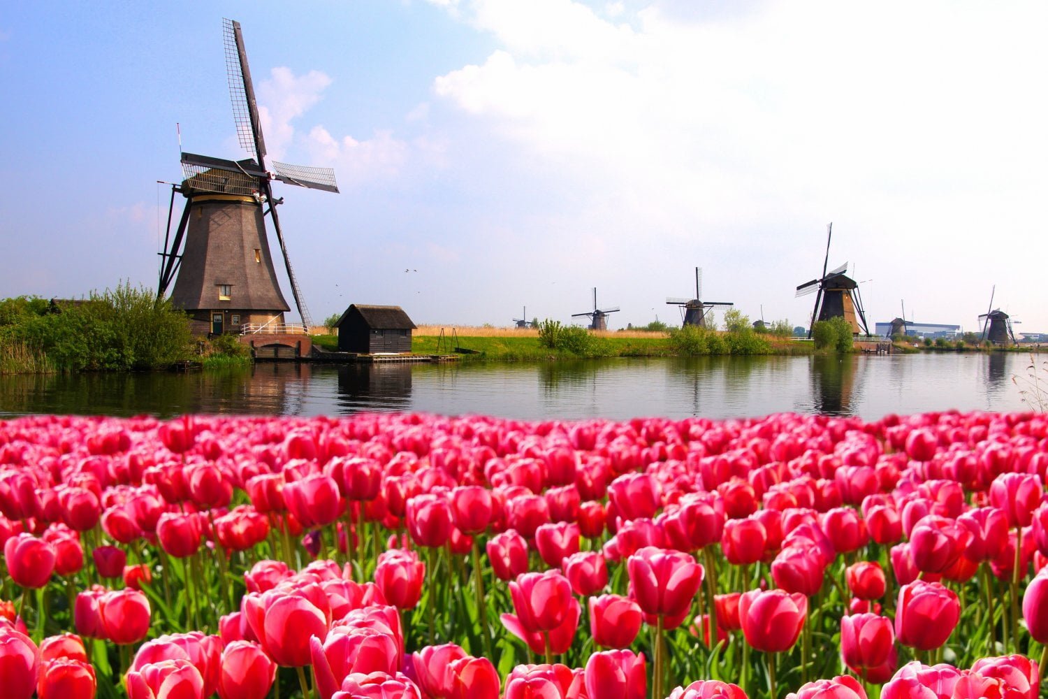 The Netherlands