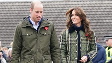 New royal video featuring Kate Middleton, Prince William released. Watch