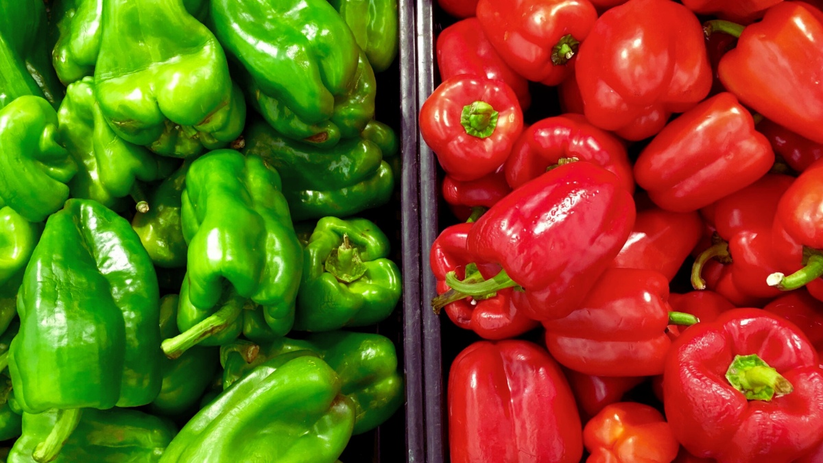 Ban on Moroccan Pepper in Europe Due to “Dangerous” Pesticides