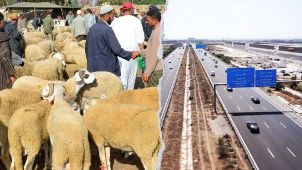 Aïd Al-Adha au Maroc Autoroute