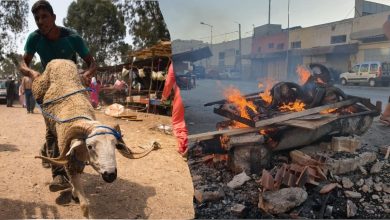 Aïd al-Adha Grillage des Têtes de Mouton