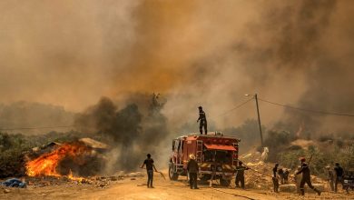 Incendies de Forêts au Maroc