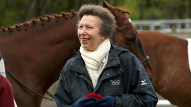 Princess Anne shares message following horse-related accident: ‘It is with deep regret…’