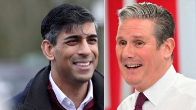UK elections: Sunak's campaign in last stage, Labour's Starmer eyes victory