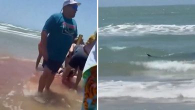 Horrifying video shows seawater turning red as shark attacks four people in Texas