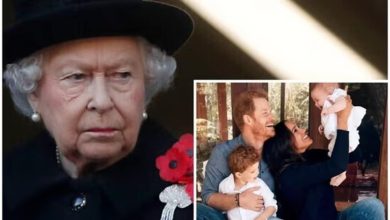 Prince Harry makes rare admission about ‘bemused’ Queen's last meet with Archie, Lilibet: ‘She’d expected them to be…’