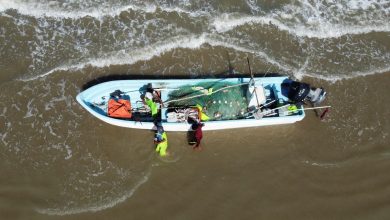 Hurricane Beryl updates: Texas on alert as officials warn residents to brace for impact