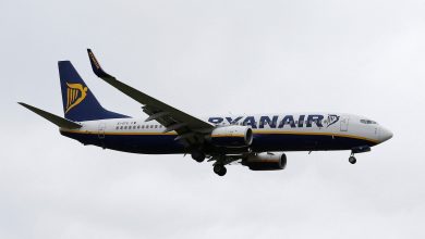 ‘Flight from hell’: Ryanair plane makes emergency landing after ‘mass brawl’ breaks out mid-air