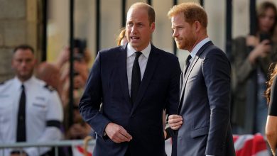 Prince Harry knows Prince William ‘would never forgive’ him for what he did
