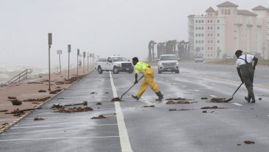 Hurricane Beryl: Strong winds, heavy rains wreak havoc in Texas as millions left without power