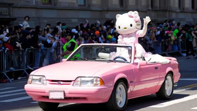 Our entire childhood was a lie: Hello Kitty is NOT a cat! Bubble bursts again ahead of icon's golden anniversary