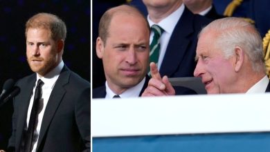 How Prince Harry was shaken by harsh one-word response from Charles and William at ‘secret meeting’: ‘Painfully tepid’