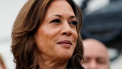 Kamala Harris lauds Biden's legacy in first address since his exit from the race